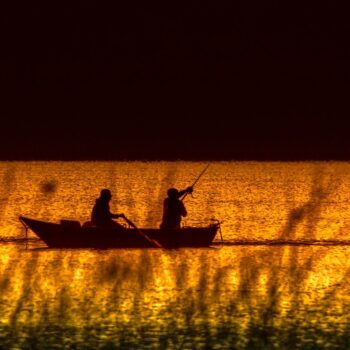 Bild von analogicus auf Pixabay